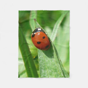ladybug fleece blanket