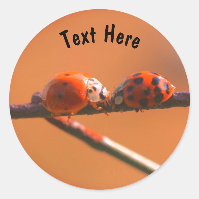 Ladybug Friends Nature Personalised Classic Round Sticker (Front)