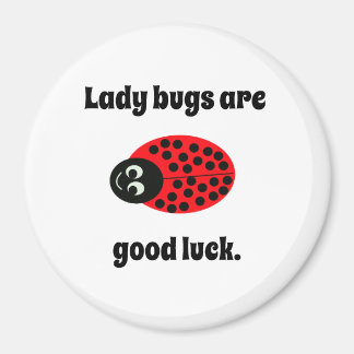 Ladybug, good luck magnet