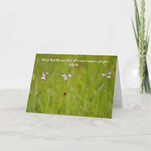 Ladybug Grace Scripture Card John 1:16