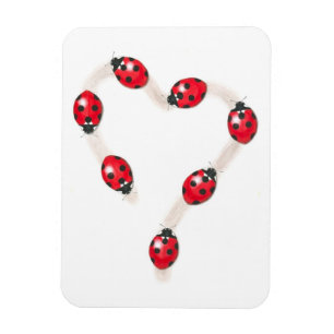 Ladybug Heart Flexi Magnet