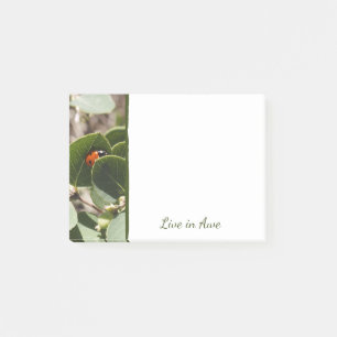 Ladybug in Green Leaves Post-It Notes