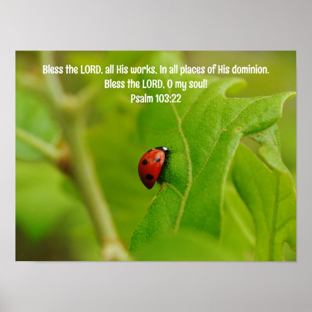 Ladybug in Leaves Bible Verse Art Poster (Front)
