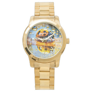 Ladybug in rain watch