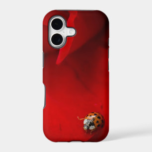 Ladybug in Red Rose