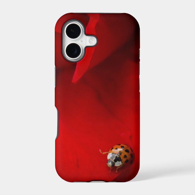 Ladybug in Red Rose (Back)