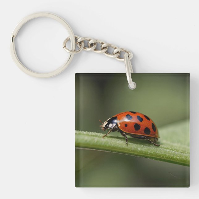 Ladybug Insect Key Ring (Front)