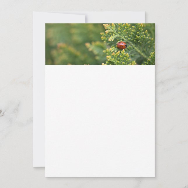 Ladybug Invitation (Front)