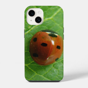 Ladybug iPhone Case
