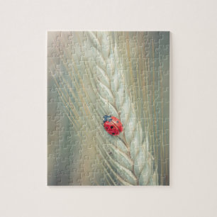 Ladybug Jigsaw Puzzle