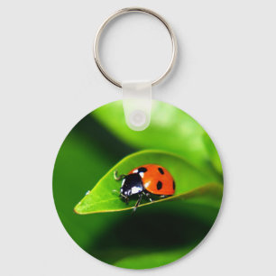 Ladybug Key Ring