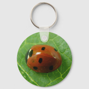 Ladybug Keychain