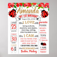 Ladybug Lady bug Birthday Party board