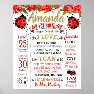 Ladybug Lady bug Birthday Party board Poster