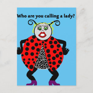 Ladybug Lady Bug Funny Postcard