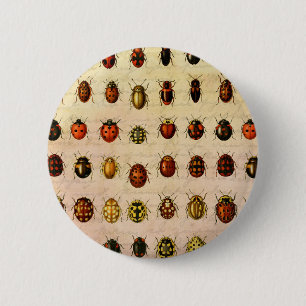 Ladybug Ladybird Beetle Insect Bug 6 Cm Round Badge