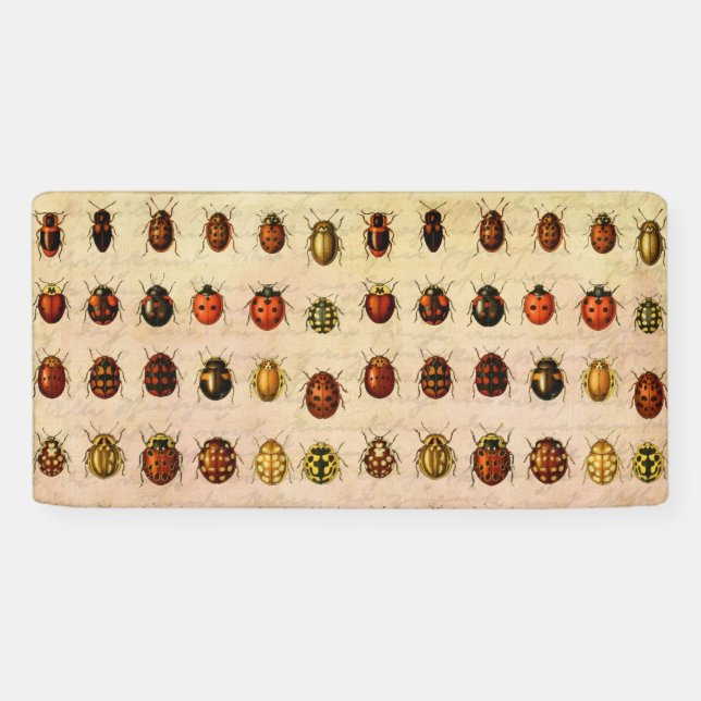 Ladybug Ladybird Beetle Insect Bug Banner (Horizontal)