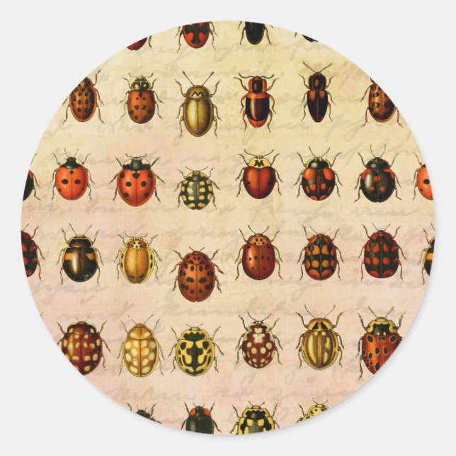 Ladybug Ladybird Beetle Insect Bug Classic Round Sticker (Front)