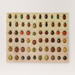 Ladybug Ladybird Beetle Insect Bug Jigsaw Puzzle