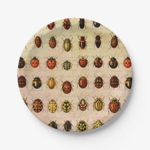 Ladybug Ladybird Beetle Insect Bug Paper Plate