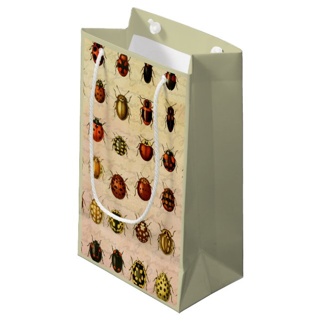 Ladybug Ladybird Beetle Insect Bug Small Gift Bag (Front Angled)