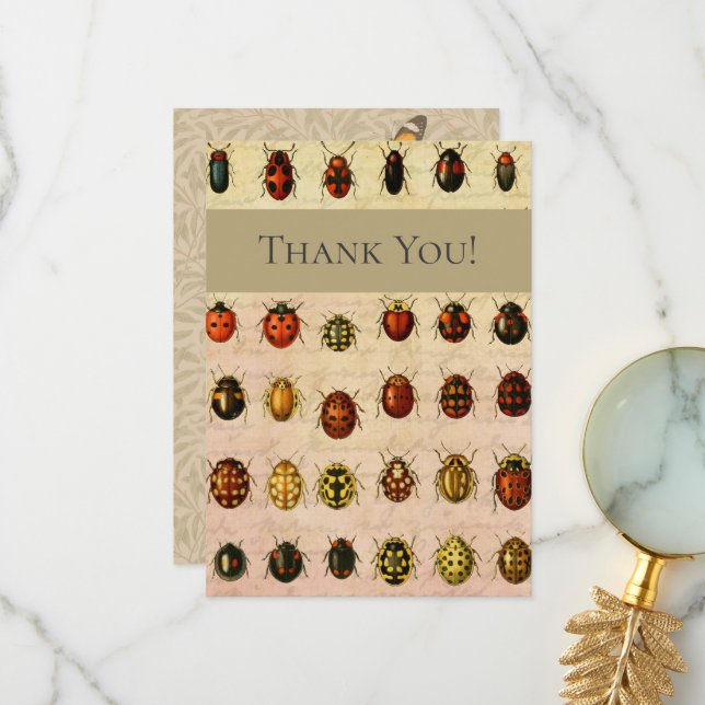 Ladybug Ladybird Beetle Insect Bug Thank You Card (Front/Back In Situ)