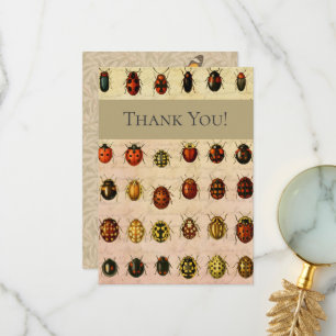 Ladybug Ladybird Beetle Insect Bug Thank You Card