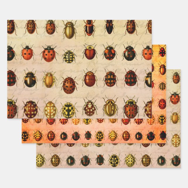 Ladybug Ladybird Beetle Insect Bug Wrapping Paper Sheet (Set)