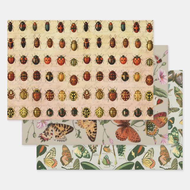 Ladybug Ladybird Beetle Insect Bug Wrapping Paper Sheet (Set)