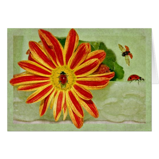 Ladybug Ladybug Ladybug! Card