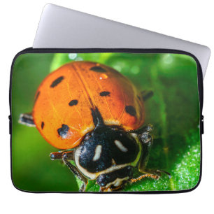 Ladybug Laptop Sleeve Vibrant Macro Nature Case