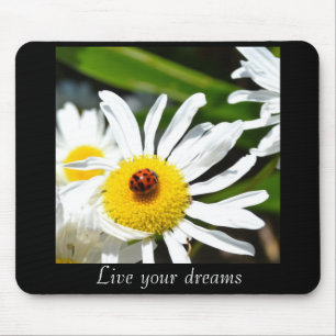 Ladybug Live Your Dreams Mousepad