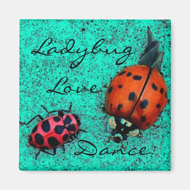 LADYBUG LOVE DANCE MAGNET (Front)