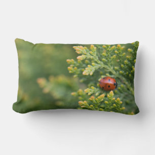 Ladybug Lumbar Cushion