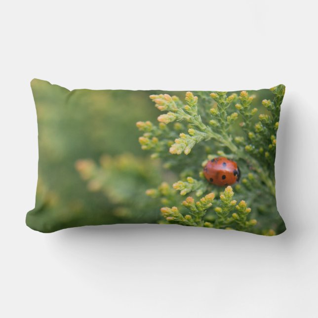 Ladybug Lumbar Cushion (Front)