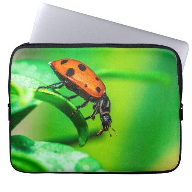 Ladybug Macro Laptop Sleeve | Nature Tech Pouch (Front)