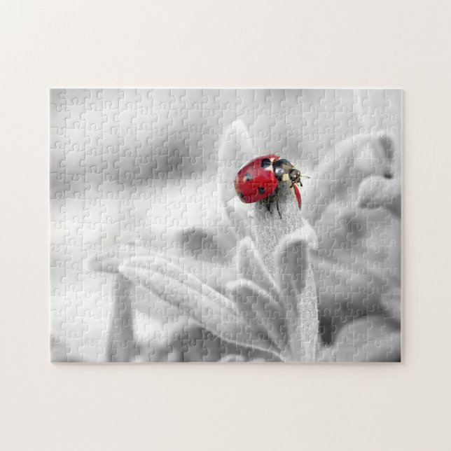 Ladybug Macro Monochrome, Jigsaw Puzzle (Horizontal)