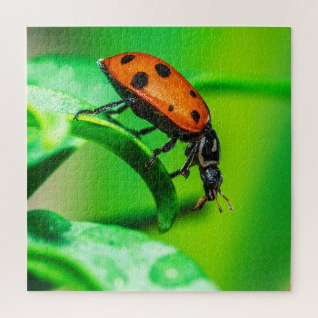 Ladybug Macro Puzzle | Colourful Nature Jigsaw (Vertical)