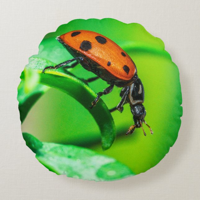 Ladybug Macro Round Throw Pillow Nature Decor (Front)