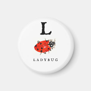 Ladybug magnet