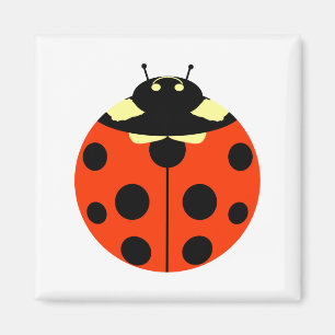 ladybug magnet