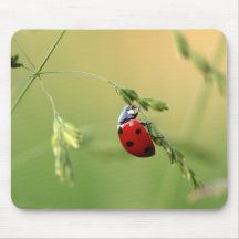 Ladybug Mouse Pad