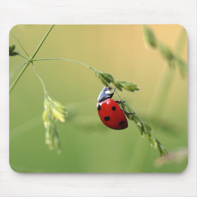 Ladybug Mouse Pad (Front)