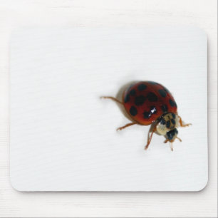 Ladybug Mouse Pad