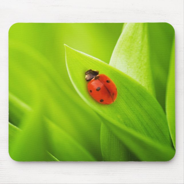 Ladybug Mouse Pad (Front)