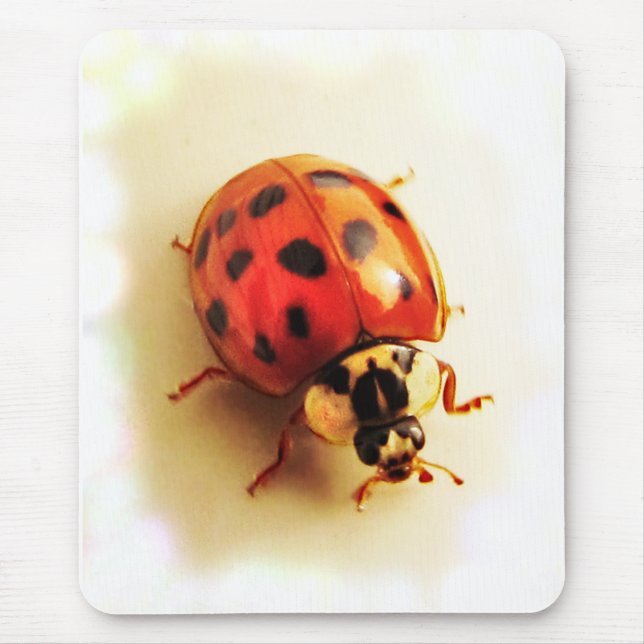 Ladybug Mousepad (Front)