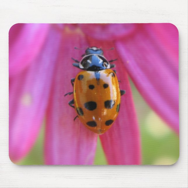 Ladybug Mousepad (Front)