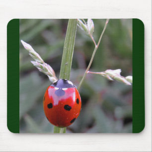 Ladybug Mousepad