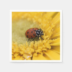 Ladybug napkin