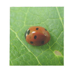 Ladybug Notepad